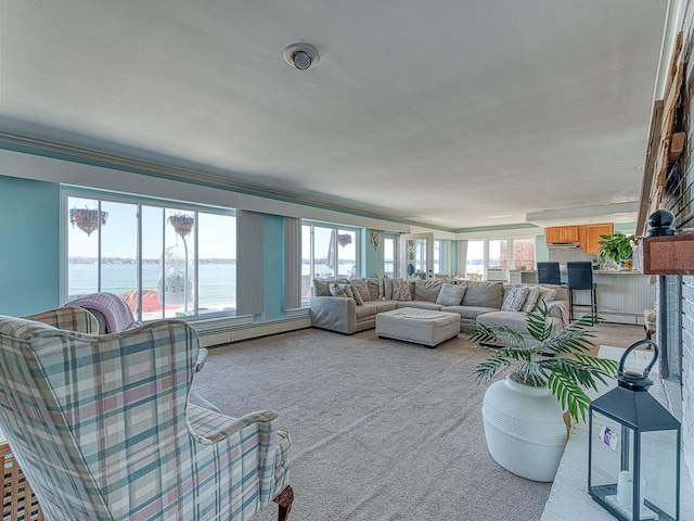 living area featuring a wealth of natural light, a water view, and light colored carpet