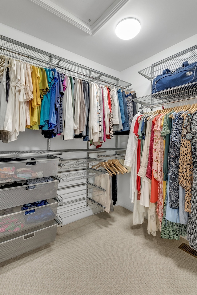 walk in closet featuring visible vents and carpet floors