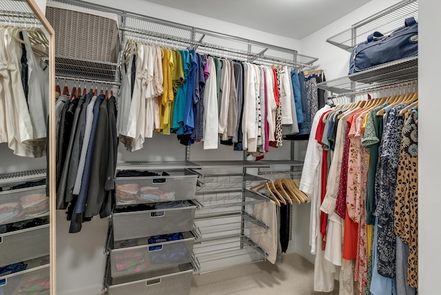 view of spacious closet