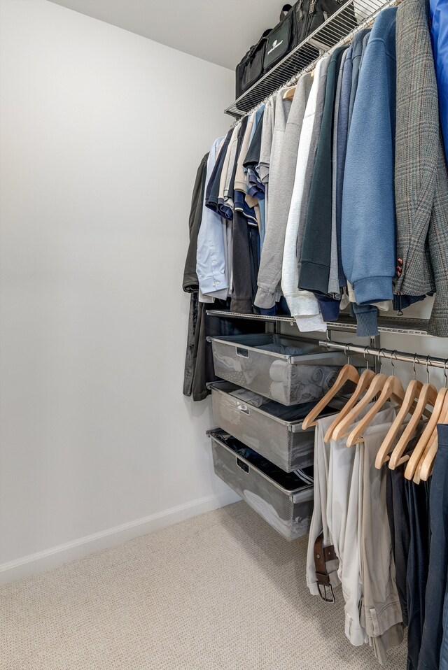 spacious closet featuring carpet floors