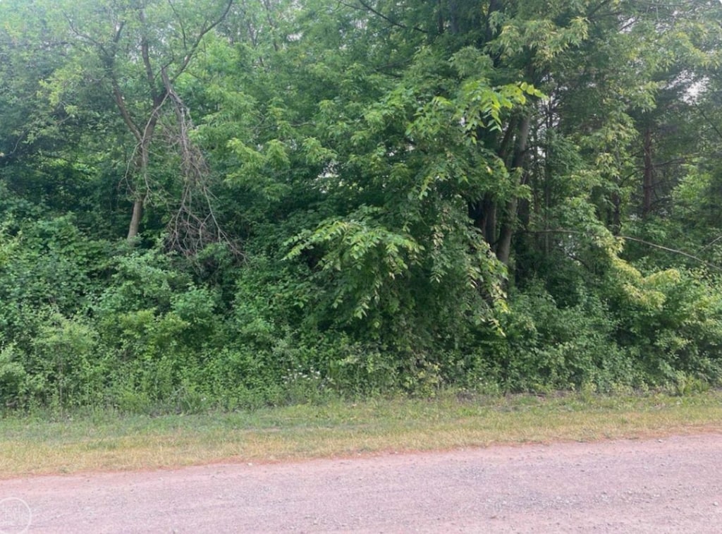 ParcelB Renata Drive, Macomb, MI 48042 - photo 1