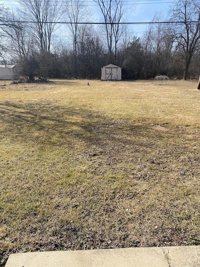 view of yard with a storage shed and an outdoor structure