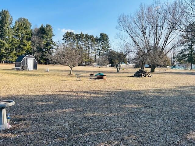 view of yard with an outbuilding and a storage unit