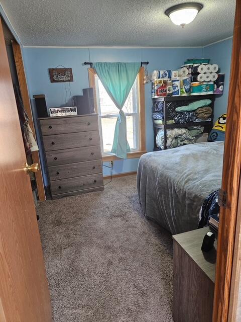 260 N Perry St, Barryton, MI 49305 - bedroom with carpet flooring, a textured ceiling, and baseboards