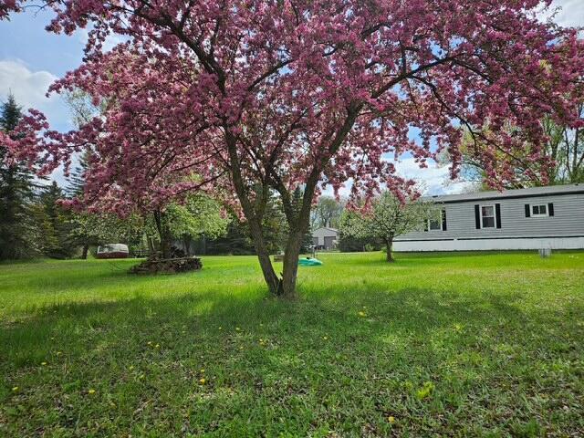 260 N Perry St, Barryton, MI 49305 - view of yard