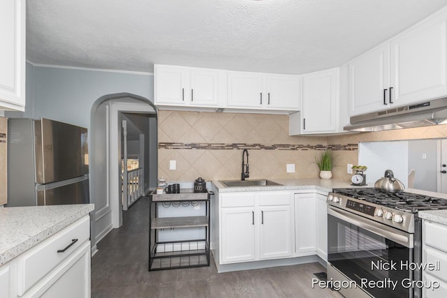 kitchen featuring under cabinet range hood, stainless steel appliances, decorative backsplash, and a sink