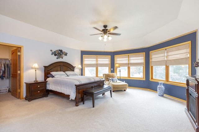 15797 Hillside Dr, Vandalia, MI 49095 - bedroom with baseboards, multiple windows, a raised ceiling, and carpet