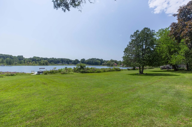 15797 Hillside Dr, Vandalia, MI 49095 - view of yard featuring a water view