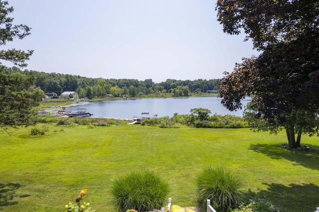 15797 Hillside Dr, Vandalia, MI 49095 - water view with a wooded view