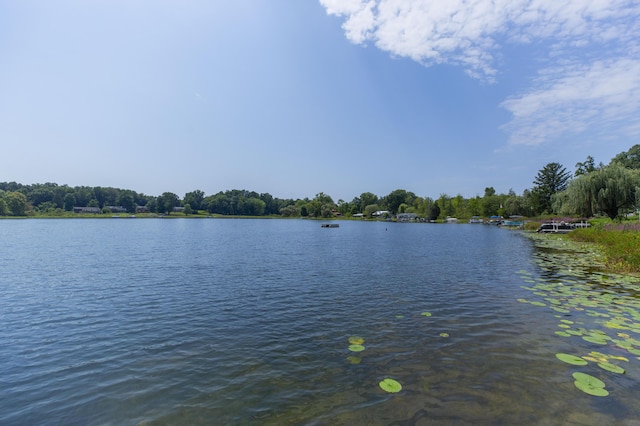 15797 Hillside Dr, Vandalia, MI 49095 - property view of water