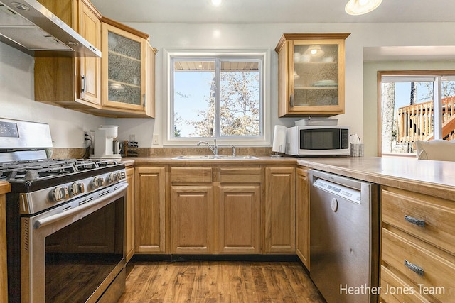 kitchen featuring glass insert cabinets, under cabinet range hood, wood finished floors, stainless steel appliances, and a sink