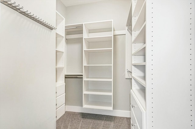 walk in closet with carpet flooring