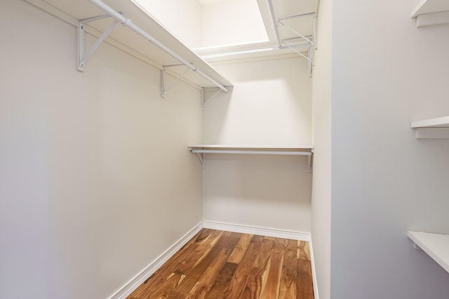 walk in closet featuring wood finished floors