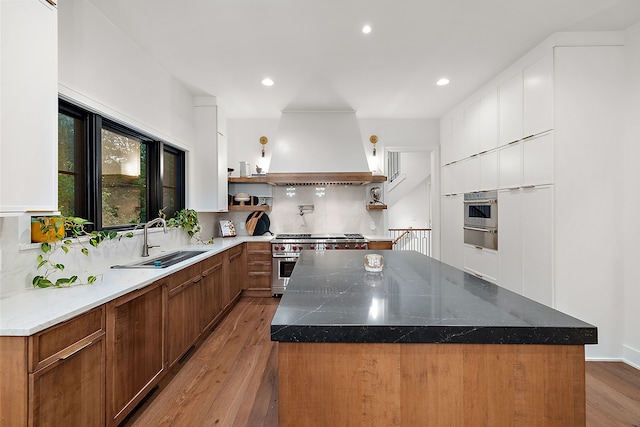 kitchen featuring premium range hood, light wood-style flooring, a sink, tasteful backsplash, and stainless steel appliances