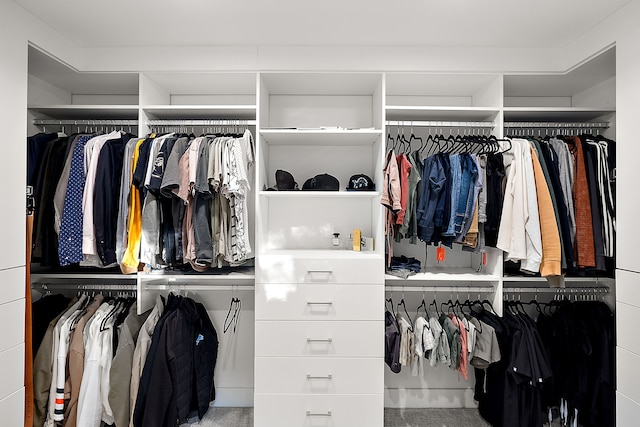 view of spacious closet