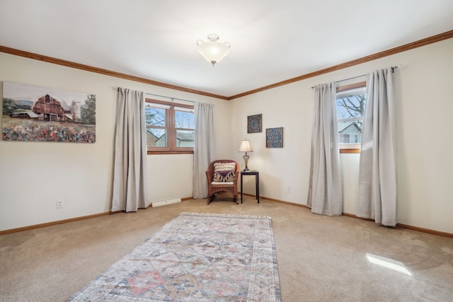 sitting room with a wealth of natural light, ornamental molding, and carpet flooring