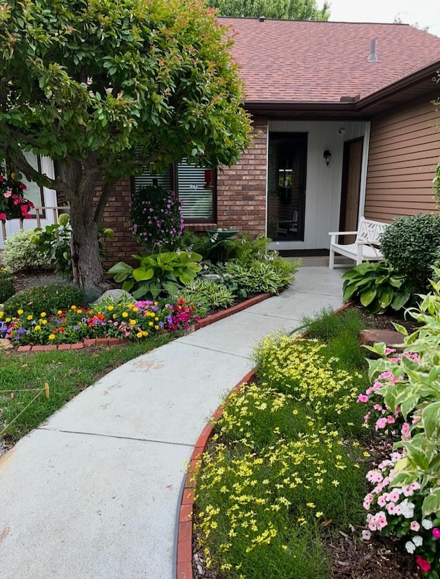 property entrance featuring brick siding and a shingled roof