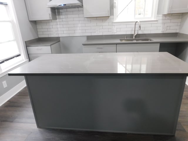 kitchen featuring dark wood-style floors, a kitchen island, under cabinet range hood, and a sink