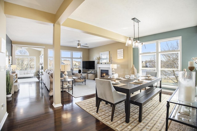 dining room featuring a glass covered fireplace, wood finished floors, and a healthy amount of sunlight