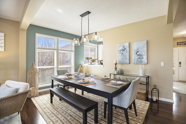 dining space featuring baseboards and wood-type flooring