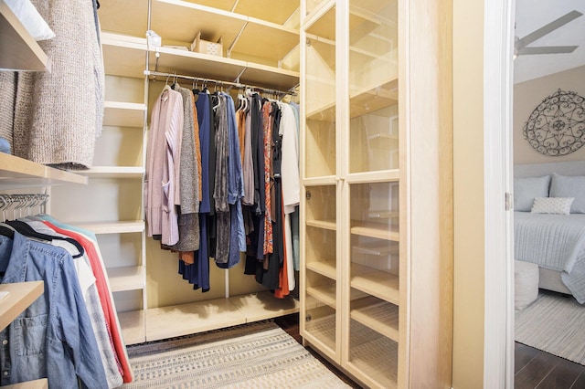 walk in closet featuring wood finished floors