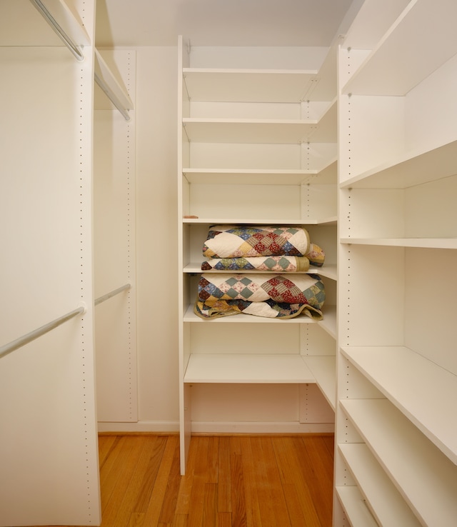 walk in closet with light wood finished floors