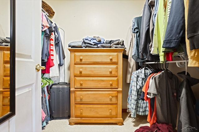 spacious closet with radiator heating unit and carpet