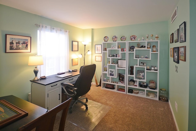 office space with carpet