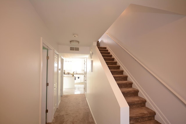 stairway with carpet floors
