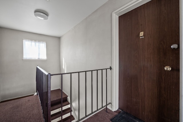 stairway with carpet flooring