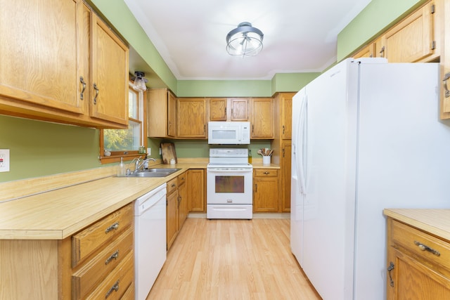 kitchen featuring a sink, white appliances, brown cabinetry, light wood finished floors, and light countertops