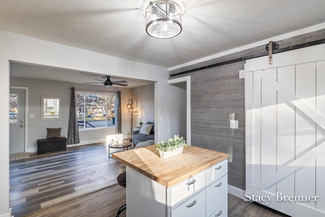 kitchen with dark wood-type flooring, ceiling fan, open floor plan, butcher block counters, and a barn door