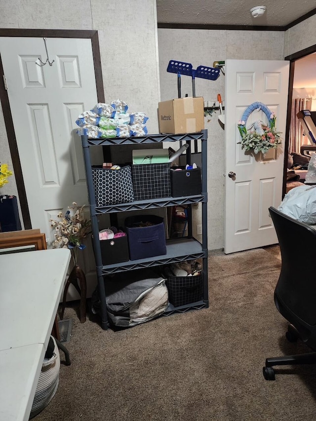 view of carpeted home office