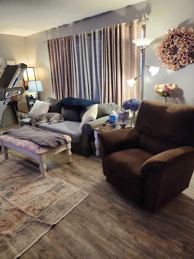 living area featuring wood finished floors