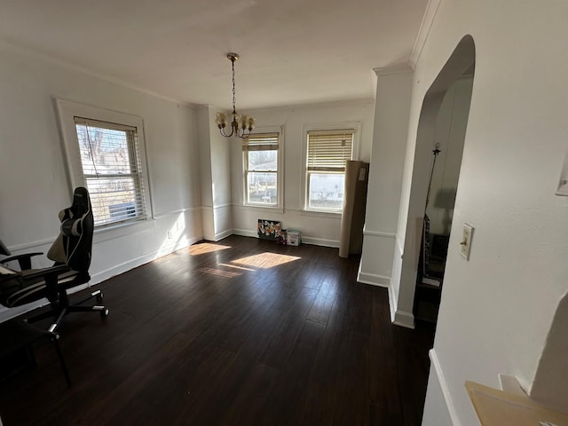 unfurnished office with dark wood finished floors, crown molding, a notable chandelier, and a healthy amount of sunlight