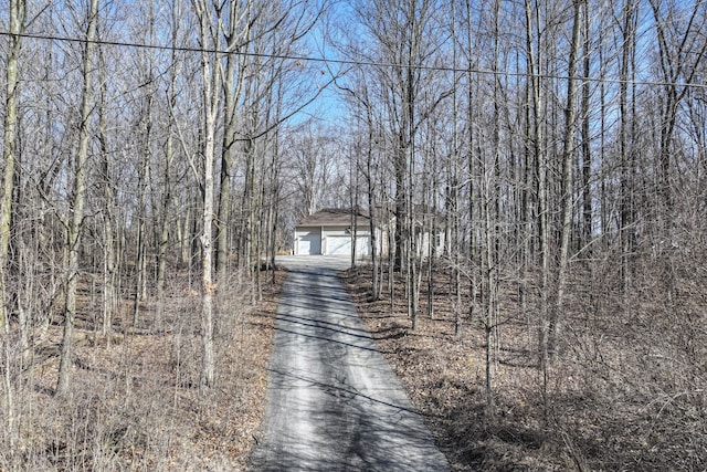 view of road featuring driveway