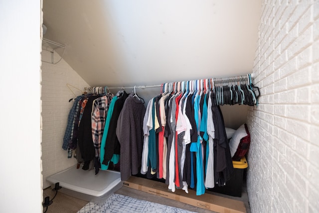 walk in closet with vaulted ceiling