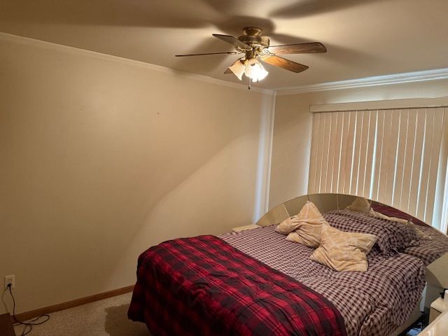 carpeted bedroom with ceiling fan, baseboards, and ornamental molding