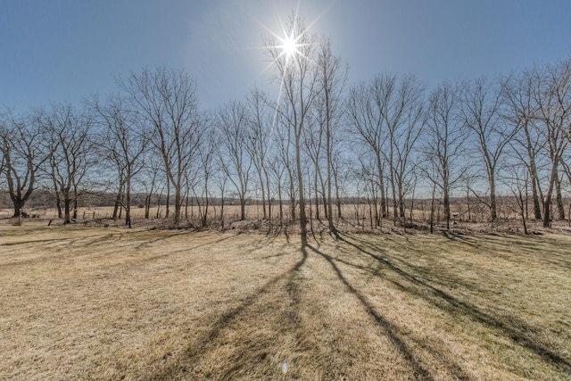 view of yard with a rural view