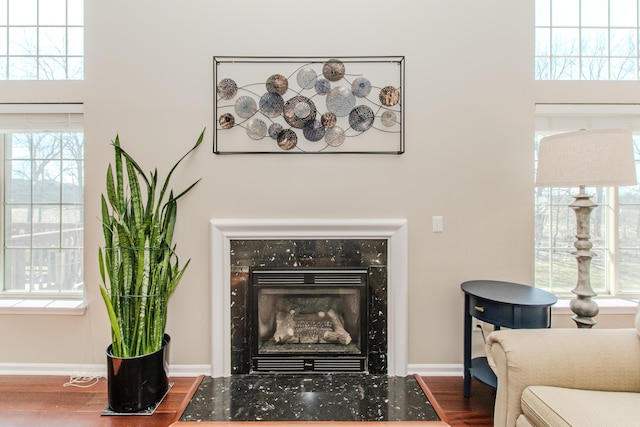 details with wood finished floors, a fireplace, and baseboards