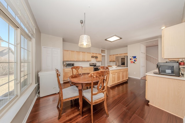 dining space featuring dark wood-type flooring, a healthy amount of sunlight, and baseboards