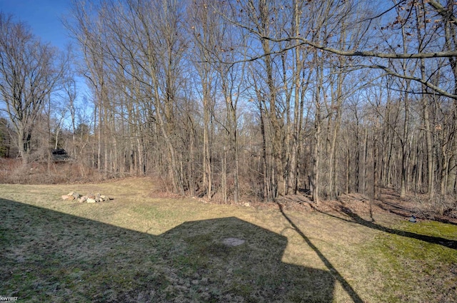 view of yard featuring a wooded view