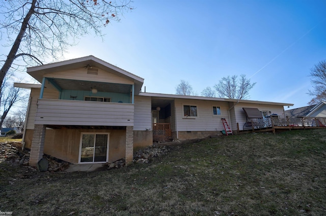 back of house featuring a yard