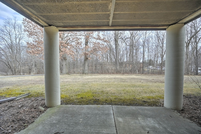 view of yard featuring a patio area