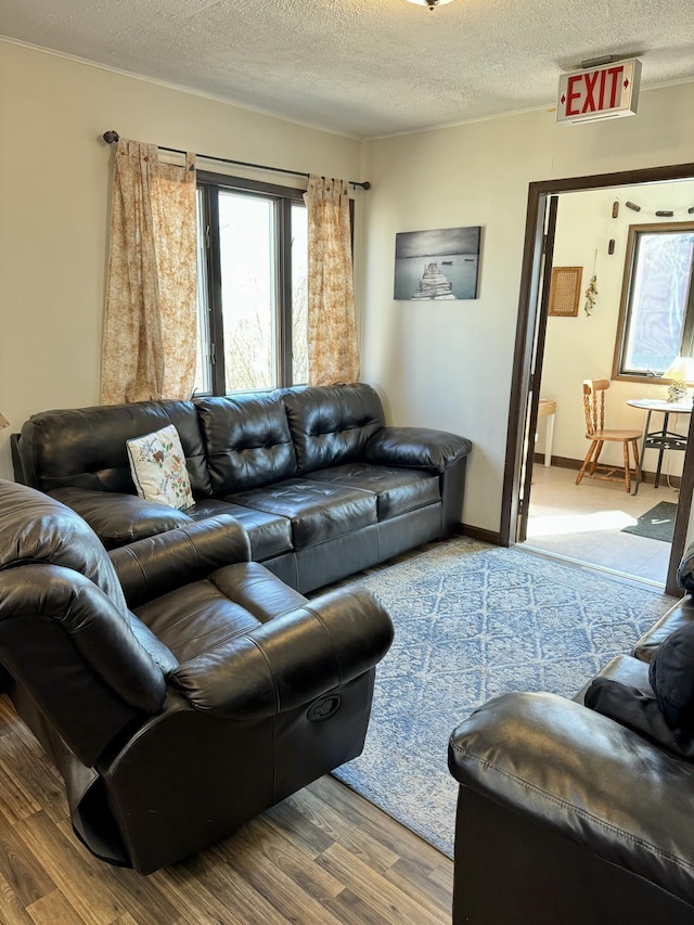 living area featuring wood finished floors, baseboards, and a textured ceiling