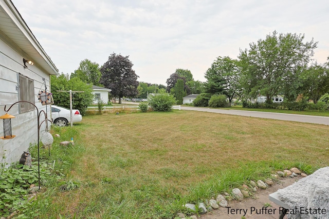 301 Donna Dr SE, Lowell, MI 49331 - photo 9