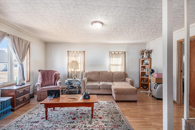 living area featuring a healthy amount of sunlight and wood finished floors