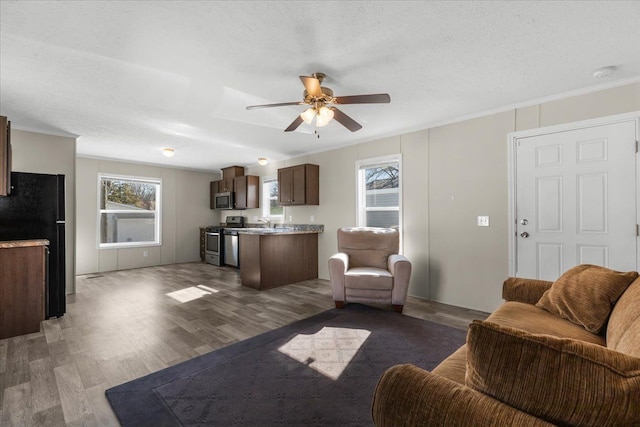 living area featuring a textured ceiling, wood finished floors, and ceiling fan