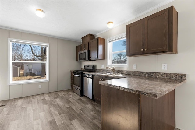 kitchen with light wood-type flooring, a sink, dark countertops, dark brown cabinetry, and appliances with stainless steel finishes