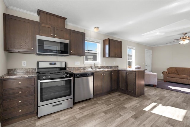 kitchen featuring stainless steel appliances, dark brown cabinetry, open floor plan, and light wood finished floors